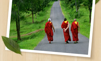 Monks at Gyudmed Pray World People’s Peace in Mind and Heart