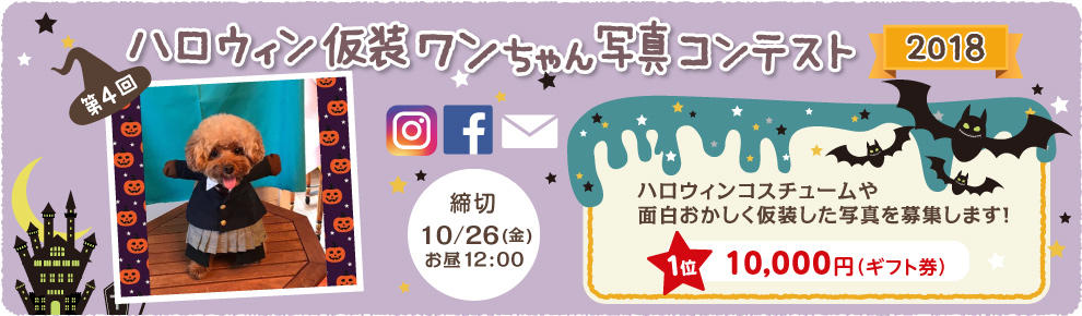 201810161630_001.jpg