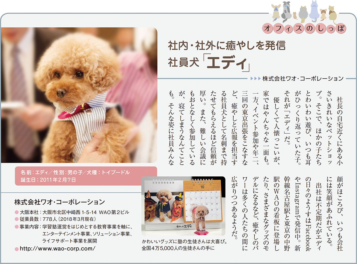 オフィスのしっぽ